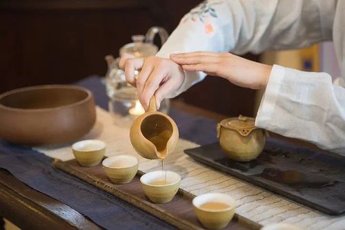 圈层客户文化之旅丨茶香满园 文聚群贤