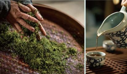 庐江最美茶旅线路(2) | 问茶白云间 登高去潜川--山水茶趣 康养之旅