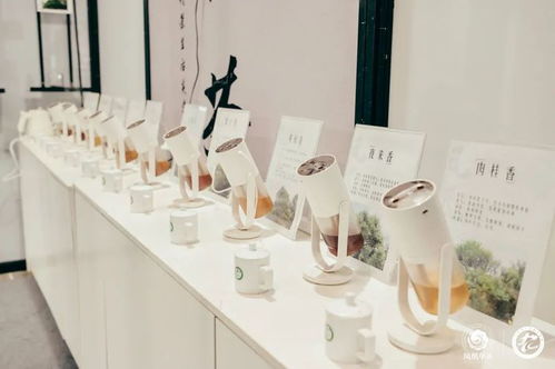 邂逅雅致 共叙茶缘 凤凰单丛茶 竹境茶文化美学空间 青岛站完美收官