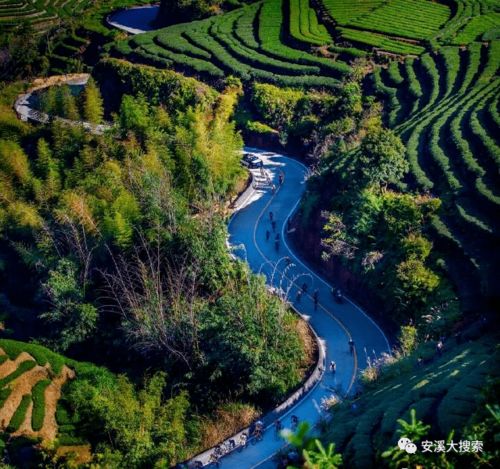 安溪醉美茶香路，是不是你家门口那条路？