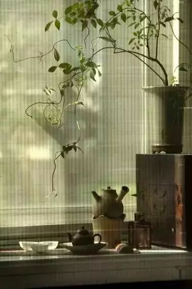 大美茶诗，品毕世界清爽